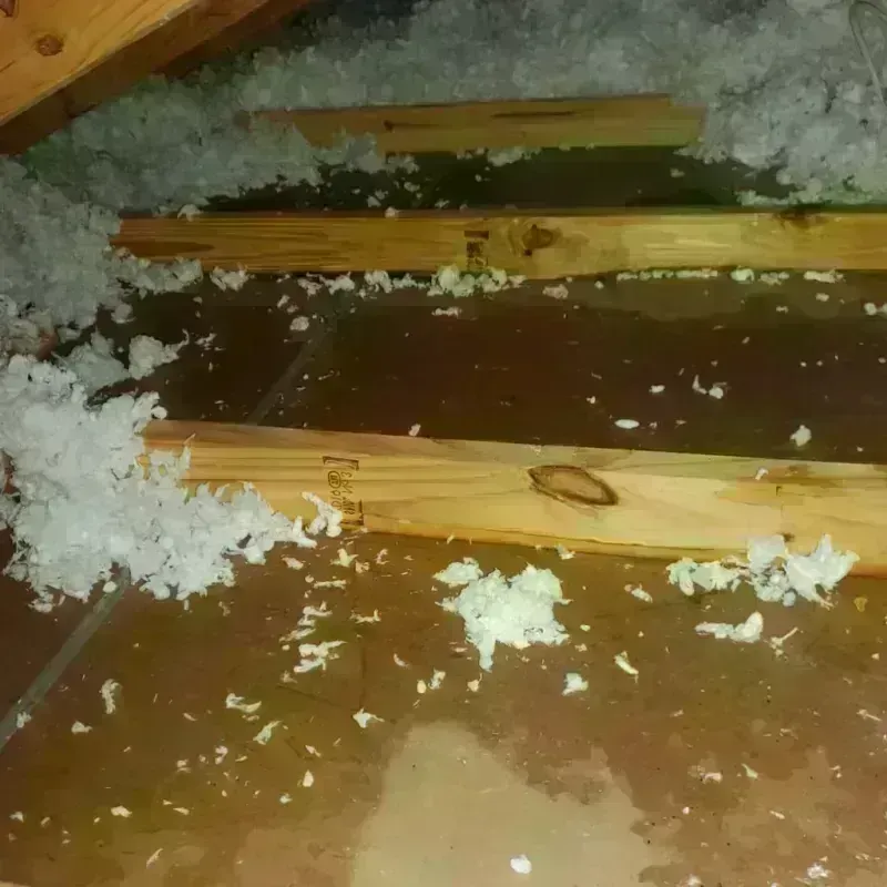 Attic Water Damage in Nappanee, IN